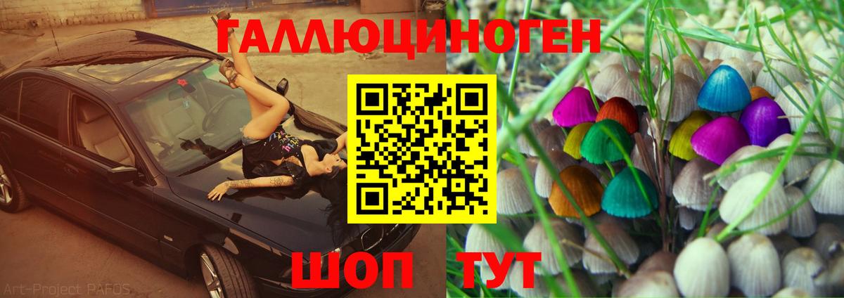 Брянск  Галлюциногенные грибы Magic Shrooms  Вход с VPN  Галлюциногенные грибы Psilocybe 